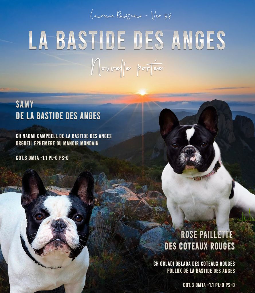 Des bébés bientôt à la Bastide des Anges