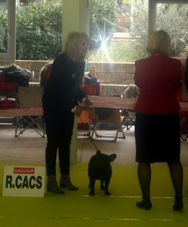 de la bastide des anges - Daïa RCACS à la spéciale de Bourg en Bresse