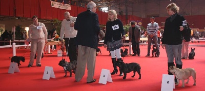 de la bastide des anges - SPECIALE DE RACE DE BOURGES
